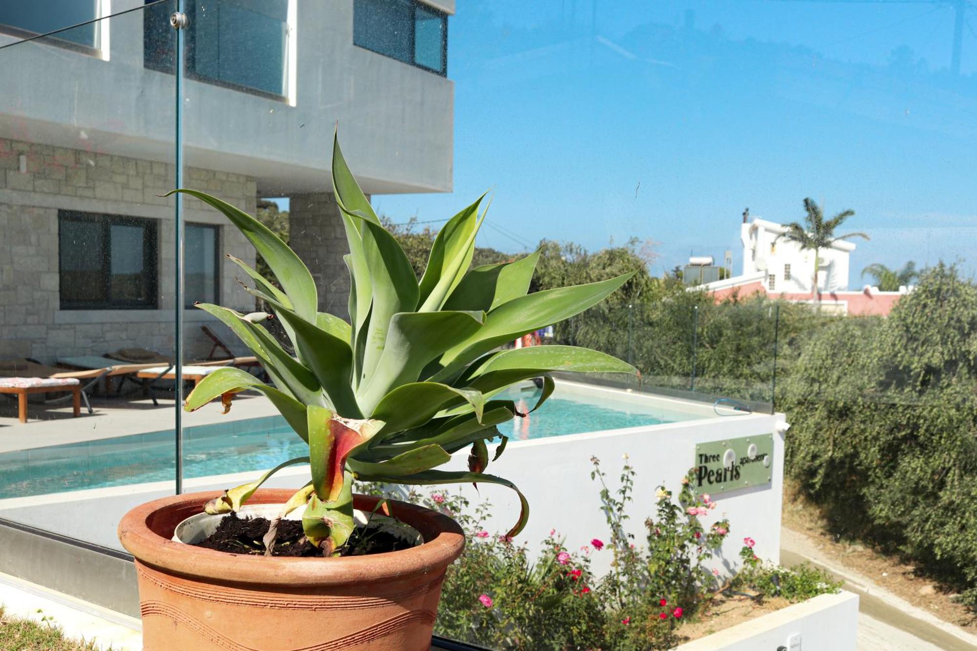 Apartamento Cream Cozy Getaway - 3 Pearls Pool Retreat Dempla Exterior foto