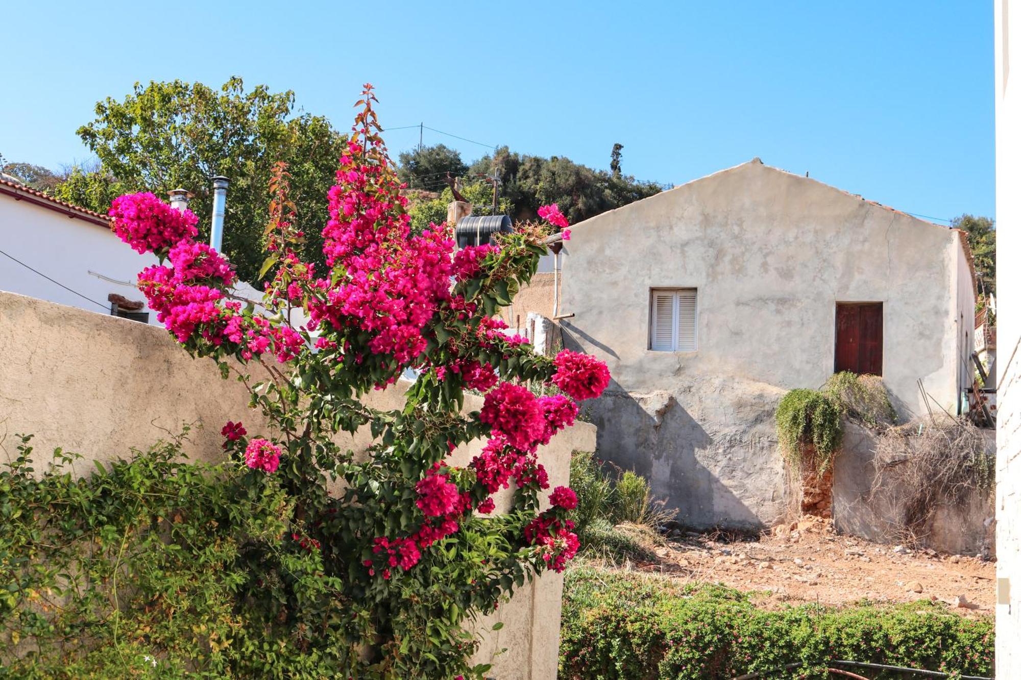 Apartamento Cream Cozy Getaway - 3 Pearls Pool Retreat Dempla Exterior foto